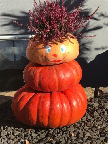 Apartamento Kraichgauer - Cent