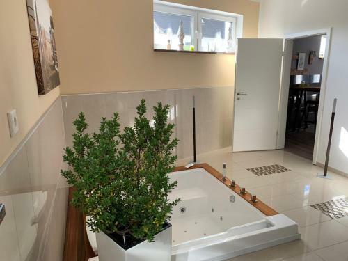Stadtvilla Intzeplatz - Apartment R�gen