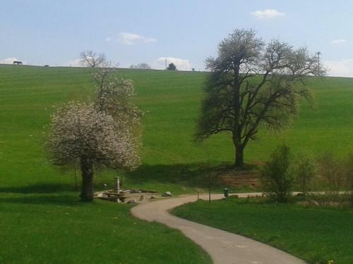 Apartamento Ferienwohnung Alexandra