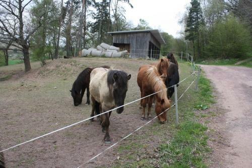 Hostal Cafe & Pension Carmen