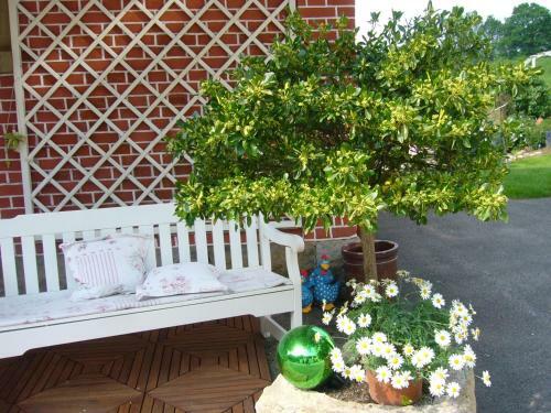 Apartamento Ferienidyll Aum�hle, "wiesengrund"