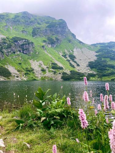 Hostal Penzi�n U Komu