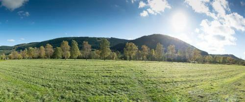 Apartamento Ferienwohnung Saalhausen Sauerland