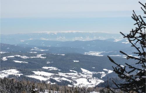 Apartment Hochrindl II