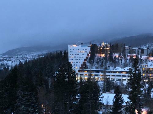 Apartment In High Tatras (4**** Panorama Hotel)