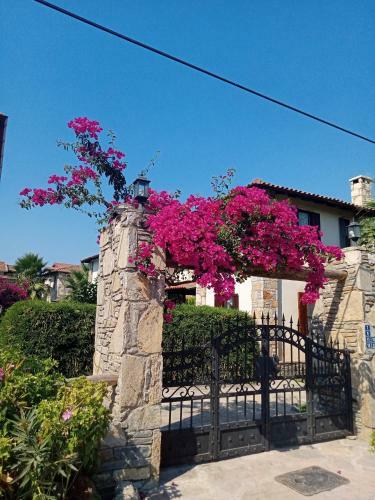 Villa Olivia Houses 2 Worth To Look At