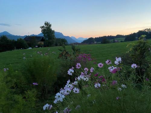 Ferienhaus Paradies Samerberg