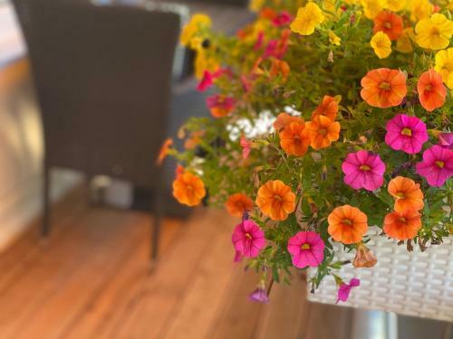 Apartment Mit Sonnenbalkon Und Netflix Im Zentrum
