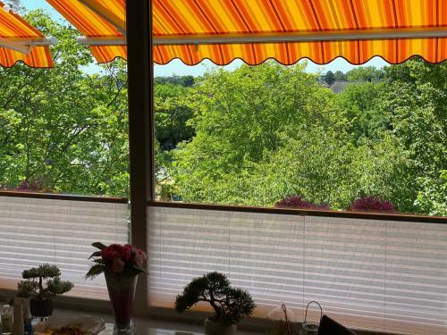 Apartment Mit Sonnenbalkon Und Netflix Im Zentrum