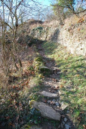 Apartamento Paradiesisch Wohnen - Loreley