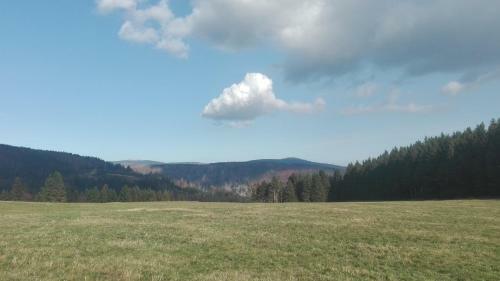 Apartamento Familien Ferienwohnung Harzer Sch�llchen