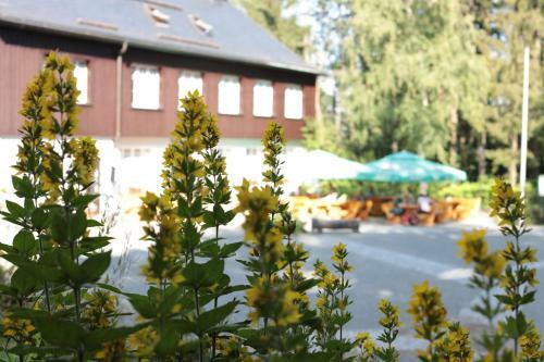Hotel B�rger- Und Berggasthaus Scheibenberg
