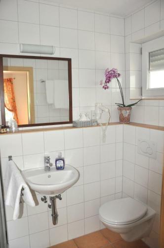 Hostal Hotel M�hleinsel