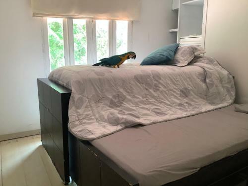 Apartamento Caba�a Beach Kitesurf Palmarito