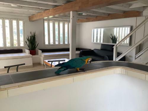 Apartamento Caba�a Beach Kitesurf Palmarito