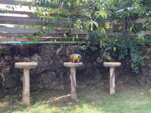 Apartamento Caba�a Beach Kitesurf Palmarito