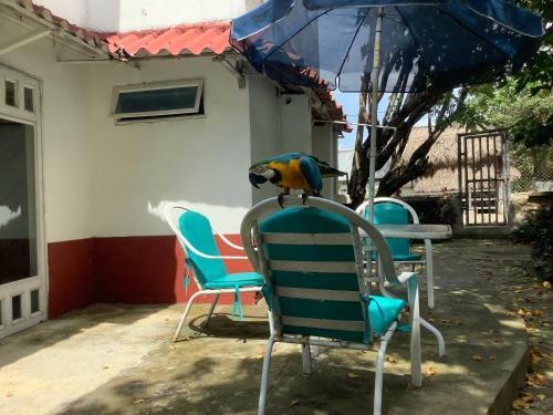 Apartamento Caba�a Beach Kitesurf Palmarito