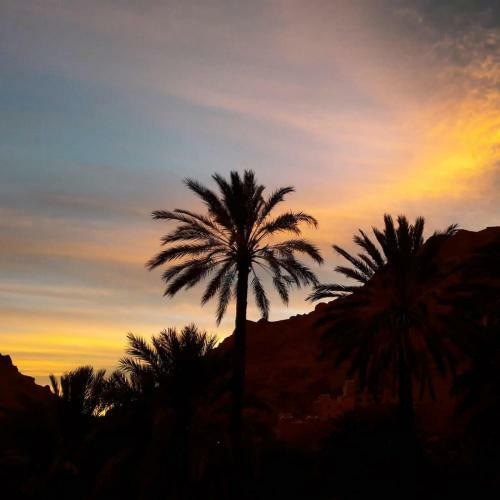 Riad Zitun