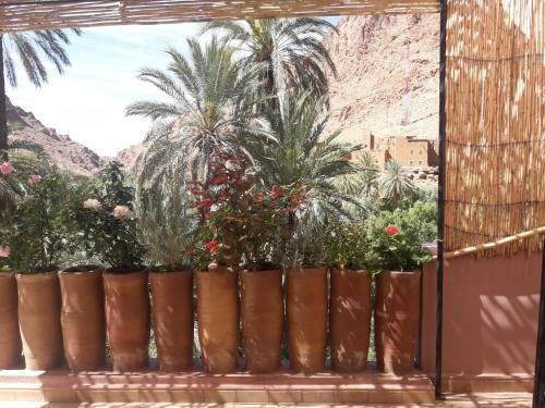 Riad Zitun