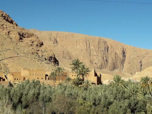 Riad Zitun