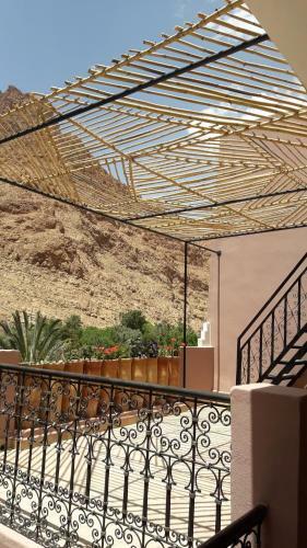 Riad Zitun