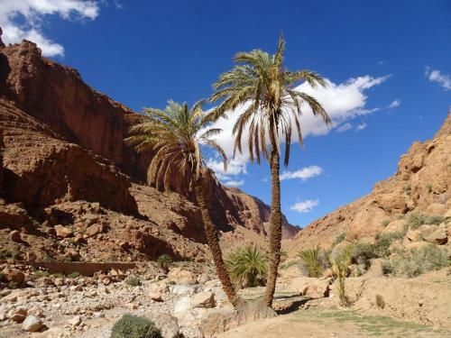 Hostal Hotel Dar Aicha