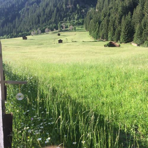 Apartamento Appart Sonnenheim