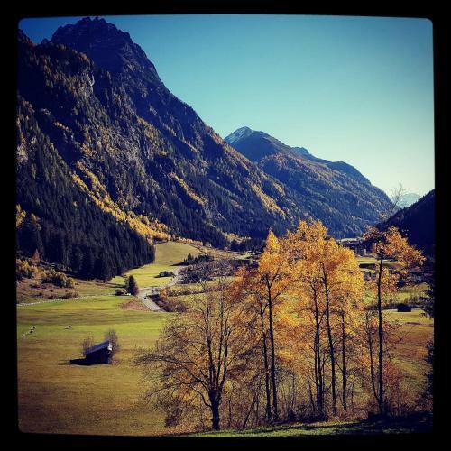 Apartamento Appart Sonnenheim