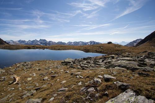 Hotel Alpengasthof Zollwirt