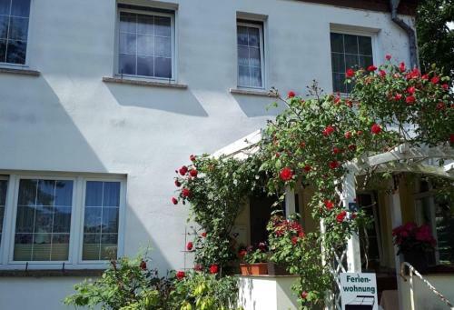 Apartamento Ferienwohnungen Seebad Ahlbeck