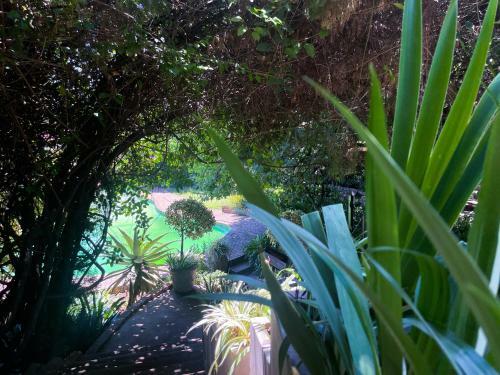 Hostal Amorus Guesthouse