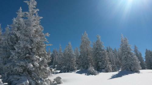 Apartamento Sonnenhaus Sander