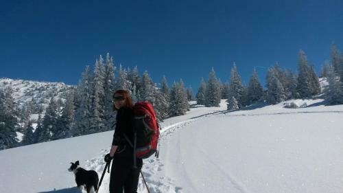 Apartamento Sonnenhaus Sander