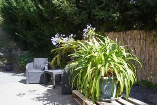 Apartamento Ferienwohnung Ahrtalblick