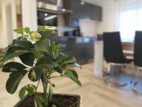 Apartment Claudia