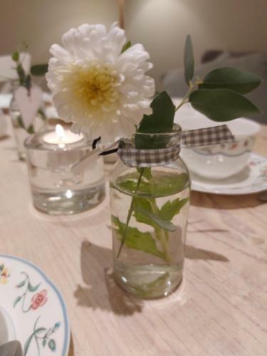 Bed & Breakfast Hof W�lper Raven