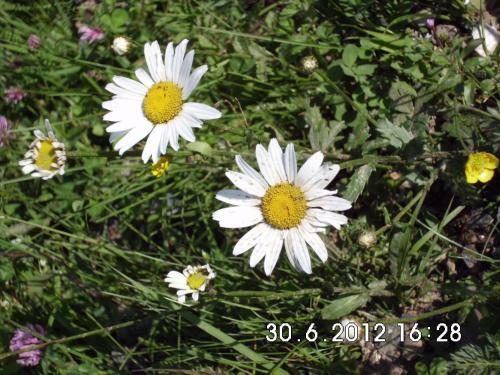 Apartamento Mosenbauer Ferienwohnung Salzburg