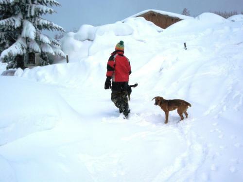 Apartamento Mosenbauer Ferienwohnung Salzburg
