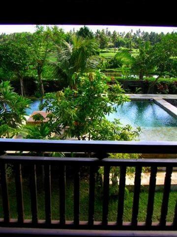Bed & Breakfast Singko Lovina