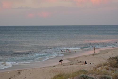 Halls Head Heaven Close To Beach Sleeps 8