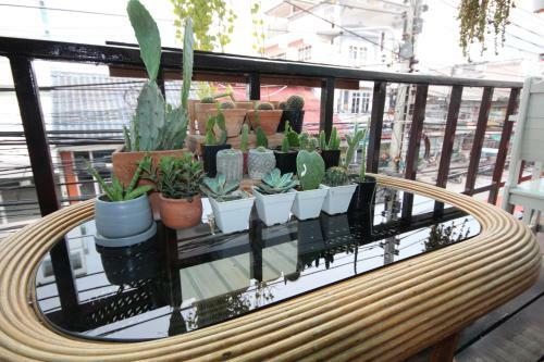 Hostal Hua Hin Paradise Guesthouse