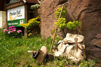 Vital- Und Wellnesshotel Basler Hof