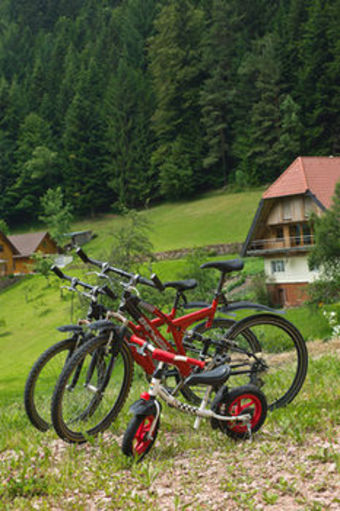 Vital- Und Wellnesshotel Basler Hof