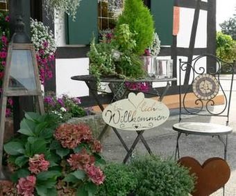 Hostal Hotel Landgasthof Blume
