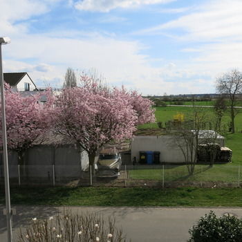 Hotel Ackermann