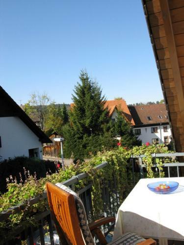Apartments Luisenh�he St Peter