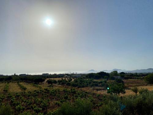 Elgreco Apartments At Zipari 4 In The Nature