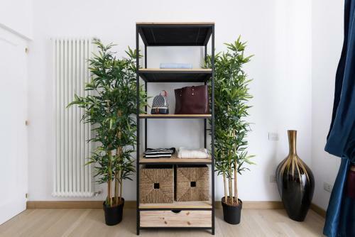 Apartamento Socino