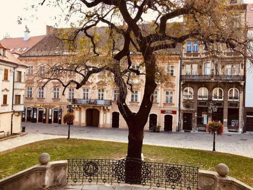 Apartamento Second Home In Heart Of Bratislava