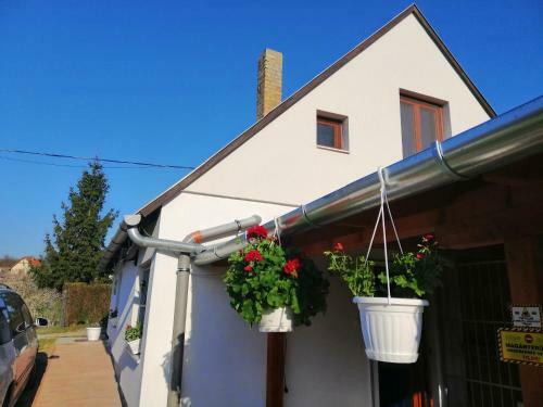 Apartamento Ferienhaus Im Weinberg